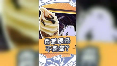 世界香草的多样性