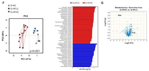 发酵饲料如何通过其独特的微生物群和代谢产物，有效提升动物饲料的营养价值和消化吸收效率？