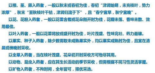 乙草胺的正确使用方法大揭秘