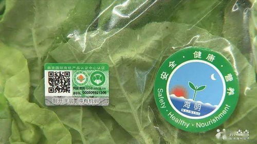 乙草胺：适用范围