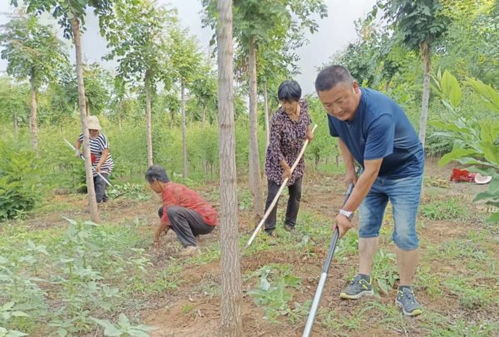 Zuo苗圃生意需要注意哪些事项？