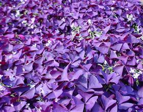 夏天温度要适宜