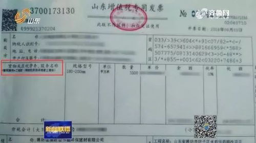 大型乔木与灌木， 空间的绿意守护者