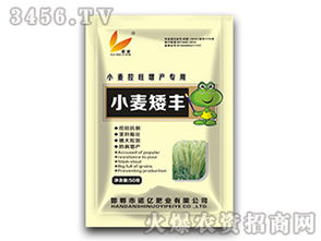 小麦控旺剂与除草剂：Neng否共舞？效果几何？