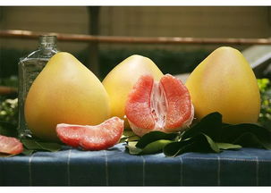 种下希望，等待奇迹发生