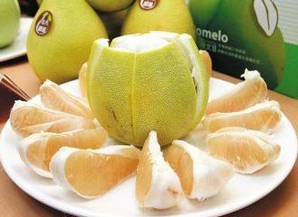 土柚子种子哪里有卖？