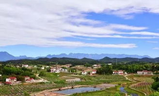 平泉市与山杏产业