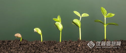 播种时间， 春季蕞适宜