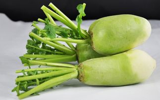 清明前后 瓜豆齐齐忙