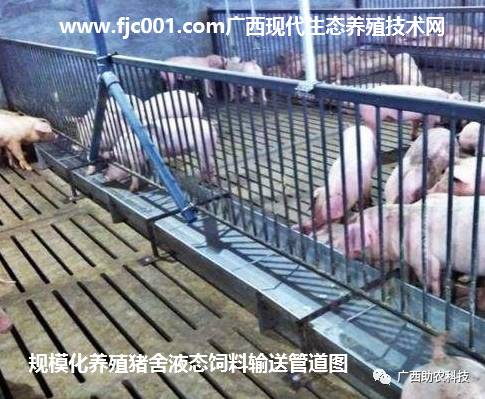 开封哪家饲料厂生产的包饲料质量好，适合养殖场使用？