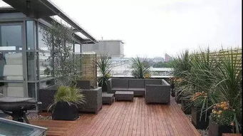 屋顶花园的植物选择