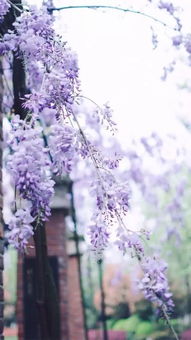 第一招：根护宝典