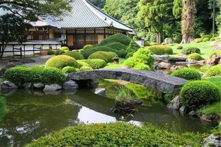 2. 营造生态群落