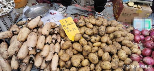 丽水大果红花茶油价格一览：一斤多少钱？