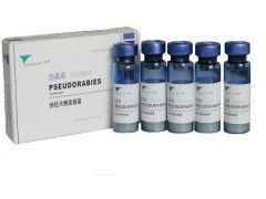 伪狂犬病活疫苗Bartha-K61株紧急免疫成功案例有哪些？