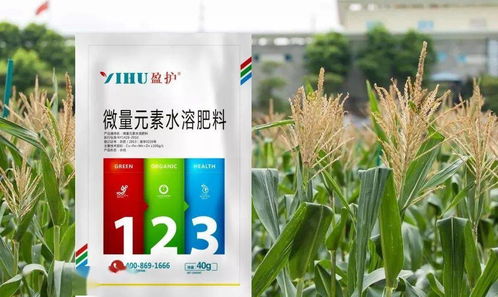 播种芝麻的注意事项