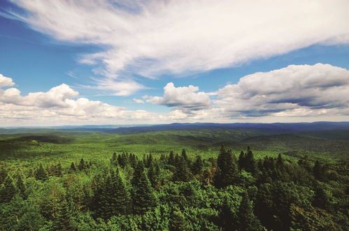 探寻神秘的自然之美——国家公园的五大景观类别