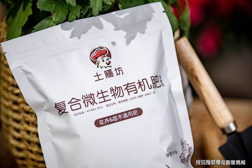 如何利用菌体蛋白饲料和餐厨垃圾进行微生物发酵，高效生产生物蛋白饲料？