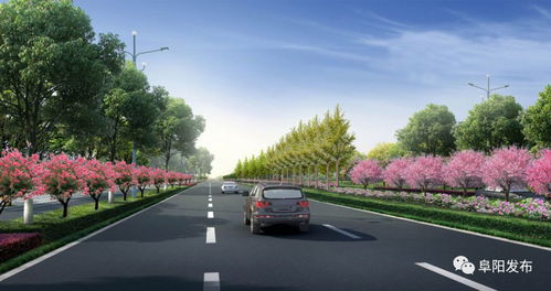 邹城市城区推广市花月季种植采购项目中标啦！