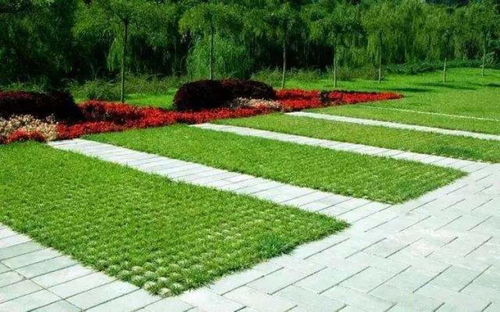 透水砖：城市的呼吸