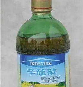 吡虫啉喷雾，防治玉米蚜虫的好帮手