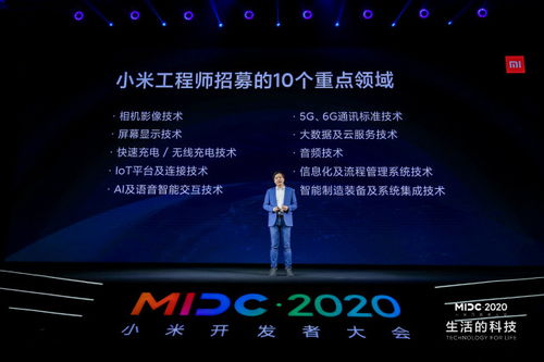 小米星绽放之谜，为何竞相吐芳华
