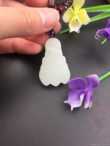 剑兰花象征力量与坚韧，寓意着不屈不挠的精神