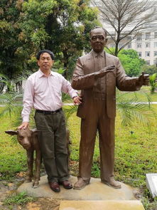 猪高效繁殖：人工授精与基因改良技术