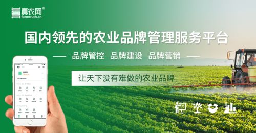 构建农业养殖防疫新体系，保障养殖安全