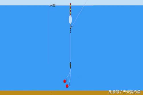 七星漂漂相大全：详解钓鱼技巧