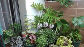 种花就像找对象