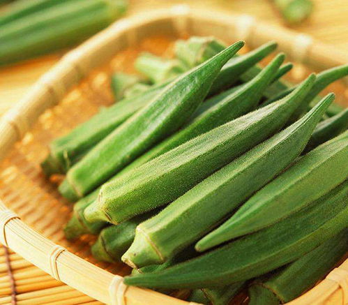 黄秋葵：营养丰富， 四季可摘