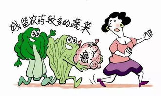 农药残留与人体健康