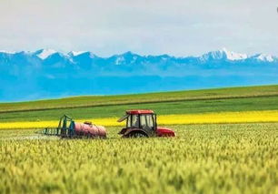 多样路径，广阔天地