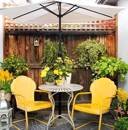 耐阴性王者：蓝羊茅