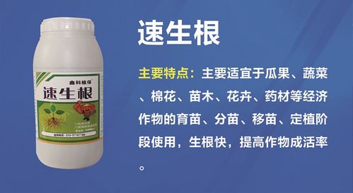 专家说啥子？