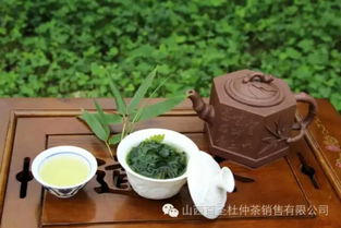 垂盆草有什么功效？它的神奇作用你了解多少