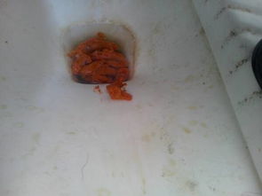 小鸡拉红色粪便是什么病引起的？治疗鸡红痢应该使用什么药物？