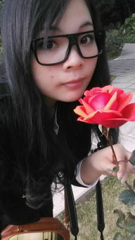 花园里的玫瑰花开得正艳
