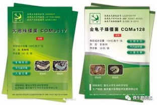 有机肥与农药的奥秘大揭秘