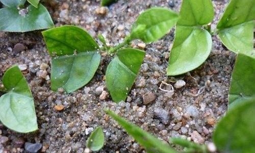 成功案例， 失败教训，dou得学