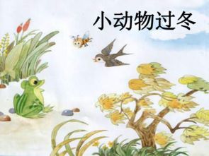 百万小铃冬天怎么过冬？保暖措施有哪些