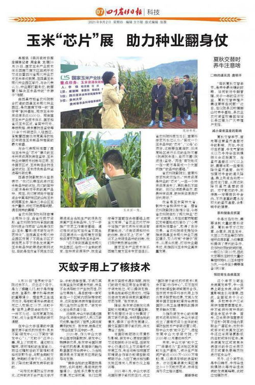 夏秋猪场难题多，科学管理是关键