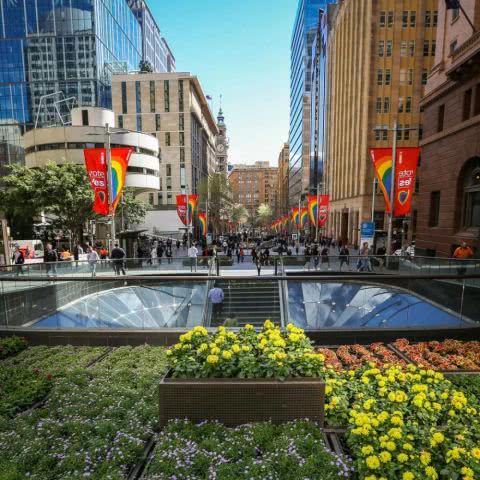 季节性因素：花草选择的考量