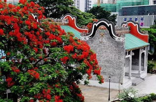 养护雷区千万别踩