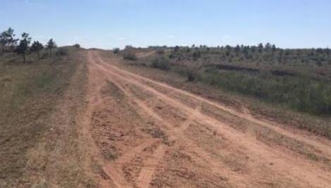 路沿防土种草：既美观又固土的小秘诀