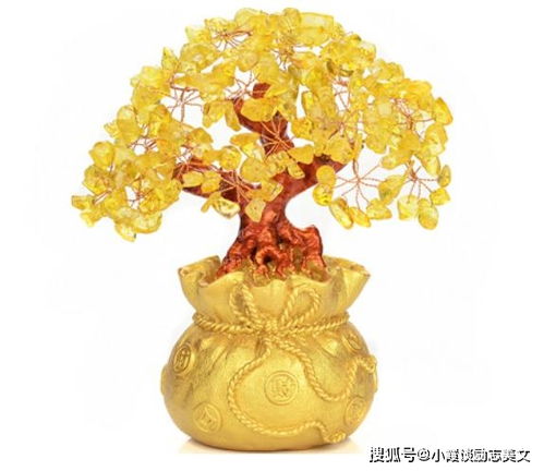 “招财宝树，财运亨通之花”