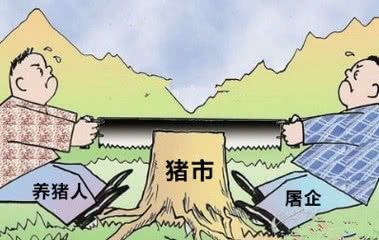介价猪饲料价格波动原因有哪些？养殖户该如何应对？
