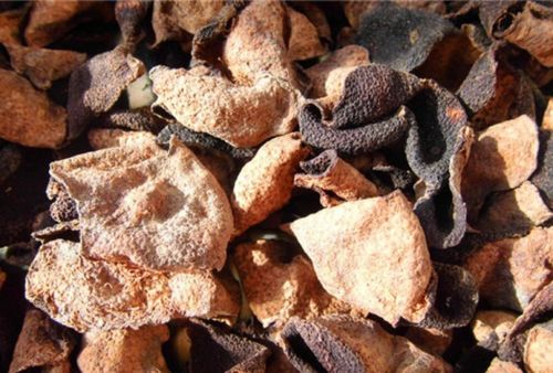 大生M45和代森锰锌功效有何不同？使用代森锰锌有哪些注意事项？