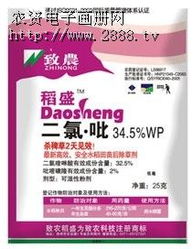 氨氯·二氯吡除草剂的作用原理是什么？如何有效抑制杂草生长？